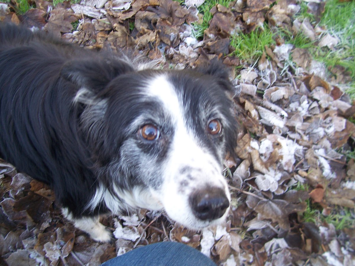 St John the Baptist Church in Egglescliffe village. Somewhere in this churchyard is the unmarked grave of a Civil War soldier killed during the 1643 battle, but no-one knows who... or exactly where it is.  #yarmmicrohistory