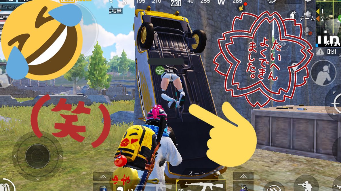 Plumeria96's tweet photo. @pubg_HIROSmith 初めて見た光景でした🤣 https://t.co/99dVMurTif