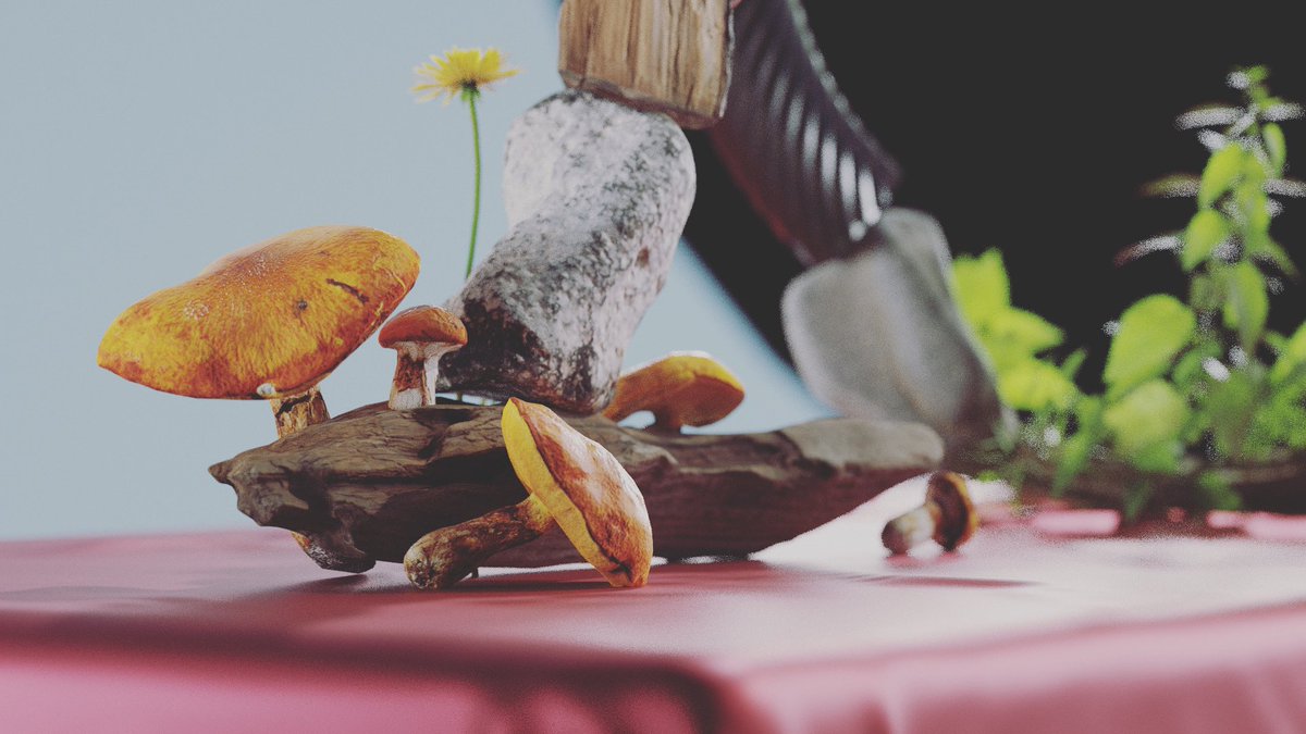 arnararnar's tweet photo. Can 2021 be the year of mushrooms? https://t.co/g1dlWCT5kB