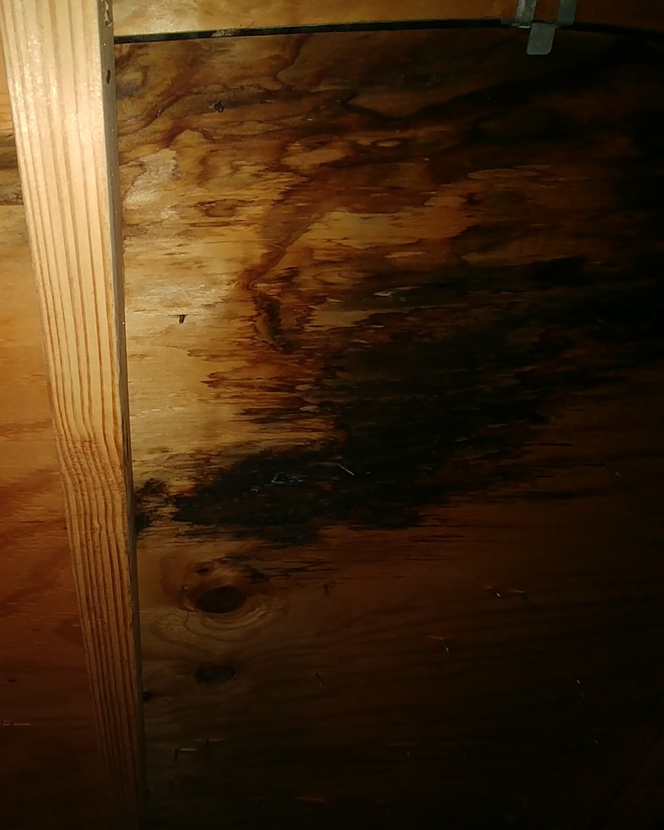 expertrestorer's tweet photo. BBB-accredited contractor specializing in roof repair &amp; replacement, windows, &amp; more in Indianapolis and surrounding areas. Call  317.643.1207 or book online now for a FREE consultation &amp; estimate!

#WeFinance #Roofing #Gutters #Windows #Licensed #NewRoof #RoofRepair https://t.co/m1U03pSgAg