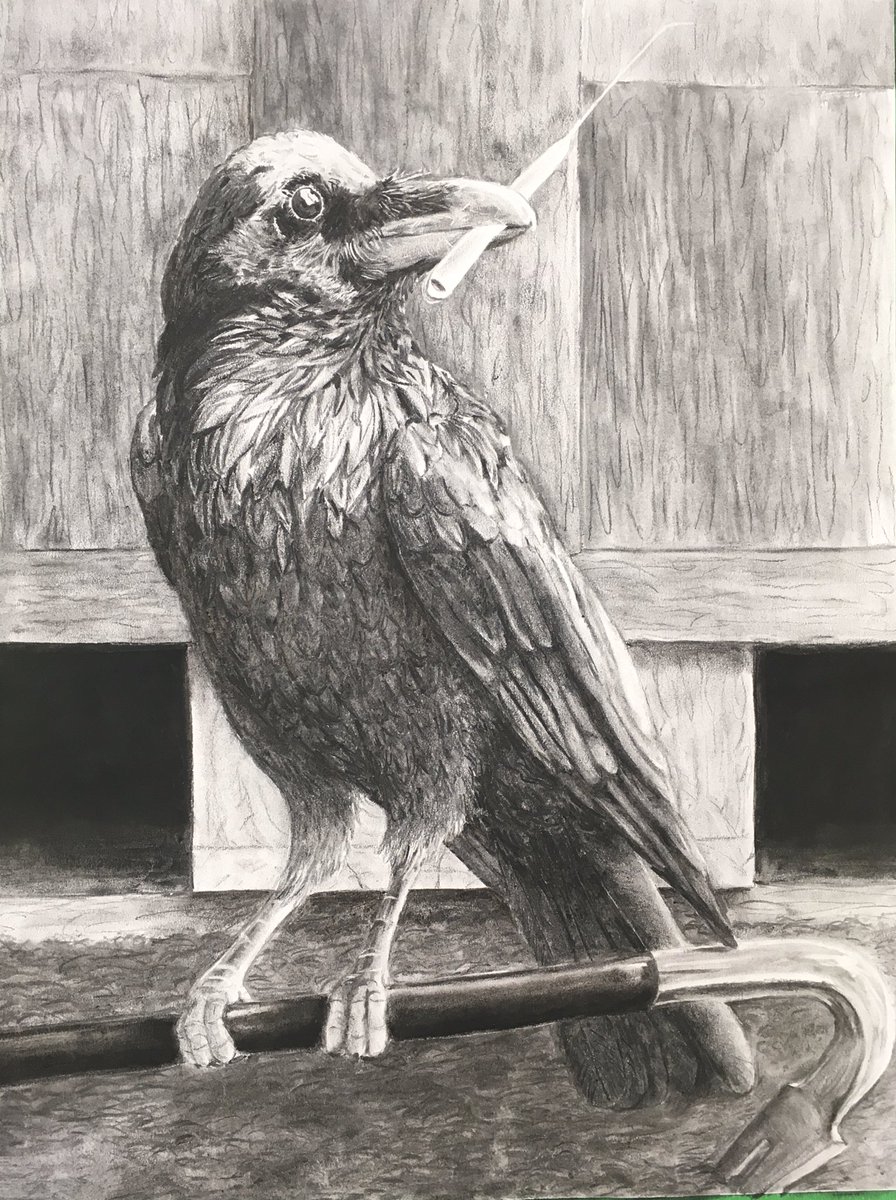 DontMindMe643's tweet photo. My art summary of all my bird projects I did this year, may 2021 only bring more https://t.co/WjnEcXSfo2
