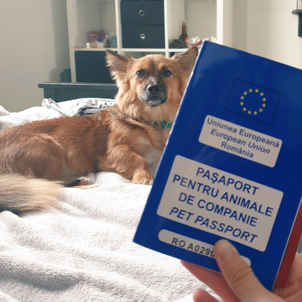 LordFalcor tweet media