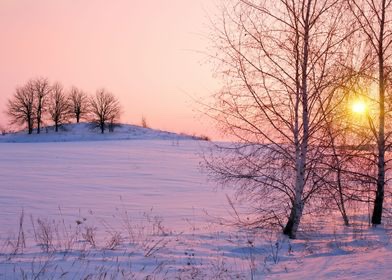 way_leading's tweet photo. wishing our friends, followers and partners in learning a healthy, brighter New Year. https://t.co/1l1Xd7H7ao