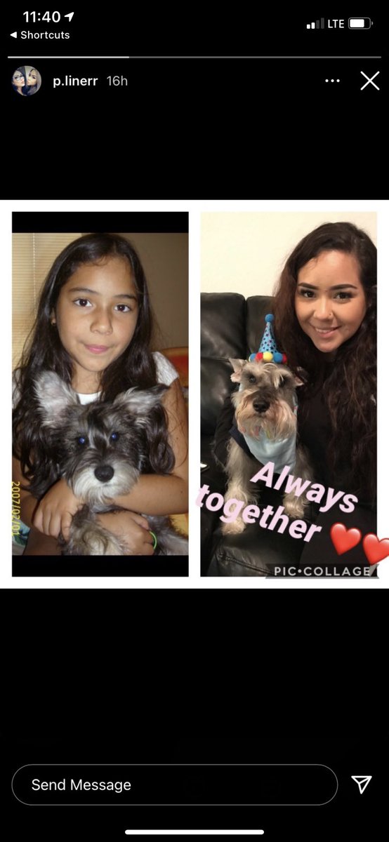xobrunellaaa's tweet photo. To the love of my life, rest easy my baby. You are no longer suffering and that’s what matters. I’ll be crossing that rainbow bridge soon, so we could meet again and never be separated. I will miss you my entire life, te amo con todo mi corazón Vitto. https://t.co/cgsoSuGPzm
