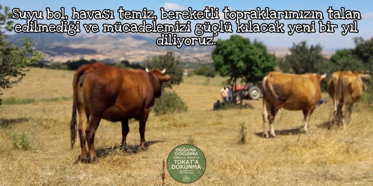 Suyu bol,havası temiz,bereketli topraklarımızın talan edilmediği ve mücadelemizi güçlü kılacak yeni bir yıl diliyoruz.🌲💗