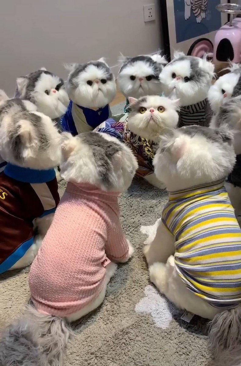 Variations on the same theme