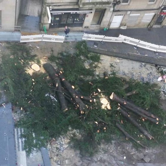 ecoloxistasvigo's tweet photo. A veciñanza de Ronda Don Bosco lanza este formulario para recabar apoios e frear o arboricidio en Vigo
Mostremos o noso rexeitamento as tallas indiscriminados para que non continúe o urbanismo a golpe de motoserra #MoratoriaTallas
👇👇asina e apoia👇👇
https://t.co/gQHRQ6WKdP https://t.co/r5i7bVRTBY