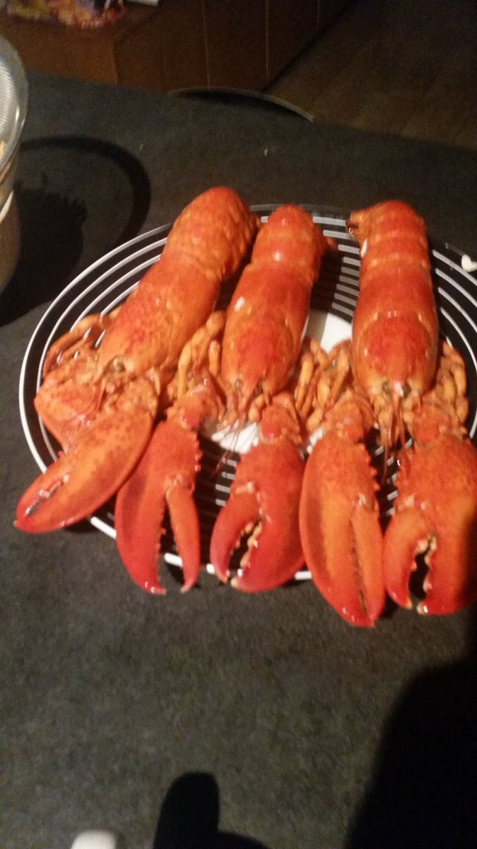 skogsmlarare1's tweet photo. @megamescalito Har rådjursfile o hummer eller.....
Skall jag ta en bukett Bullens 😁
Kanske spara hummern till imorgon och vara tvärtom alla andra 😉
#funderar https://t.co/1rwOUOWmOd