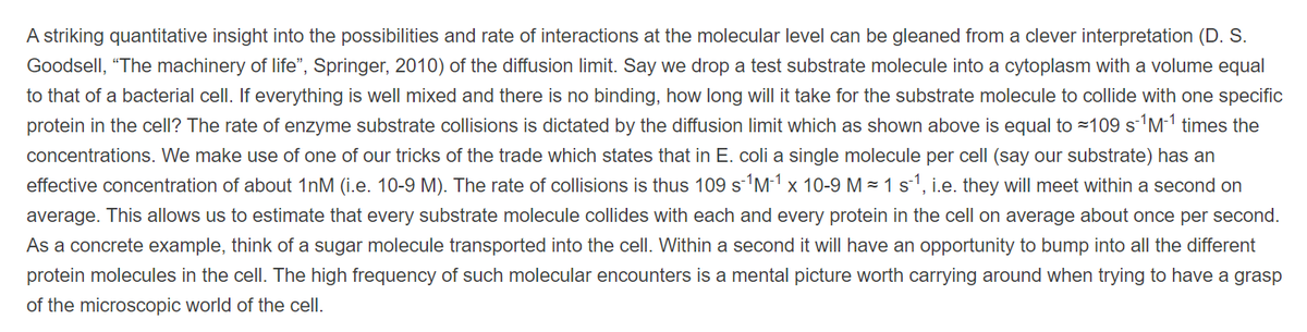 4. With some caveats, a test substrate molecule, "collides with each and every protein in the cell on average about once per second".Amazingly rapid mixing!