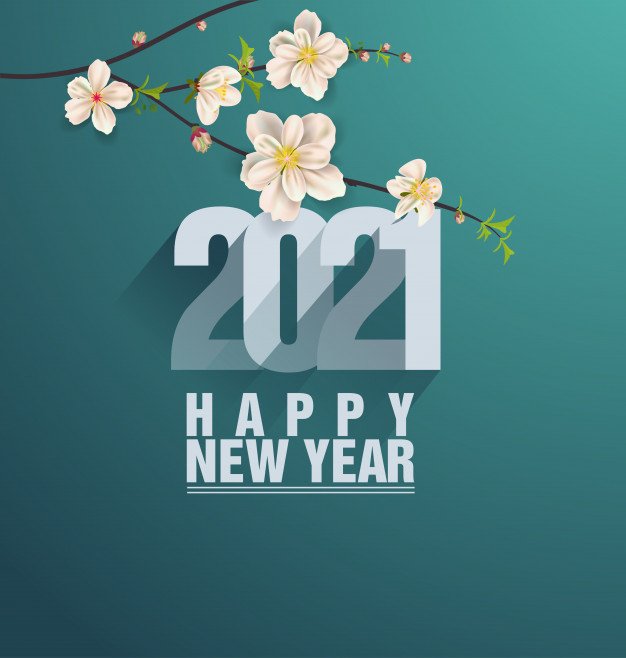 2020 was the year with full of troubles and sarrows.
May Allah bring lots of blessings for all of us with 2020
Happy New Year 2021 and good luck for new beginnings! May your life be as bright as Sun, as beautiful as flowers, and you be showered with blessings and happiness.