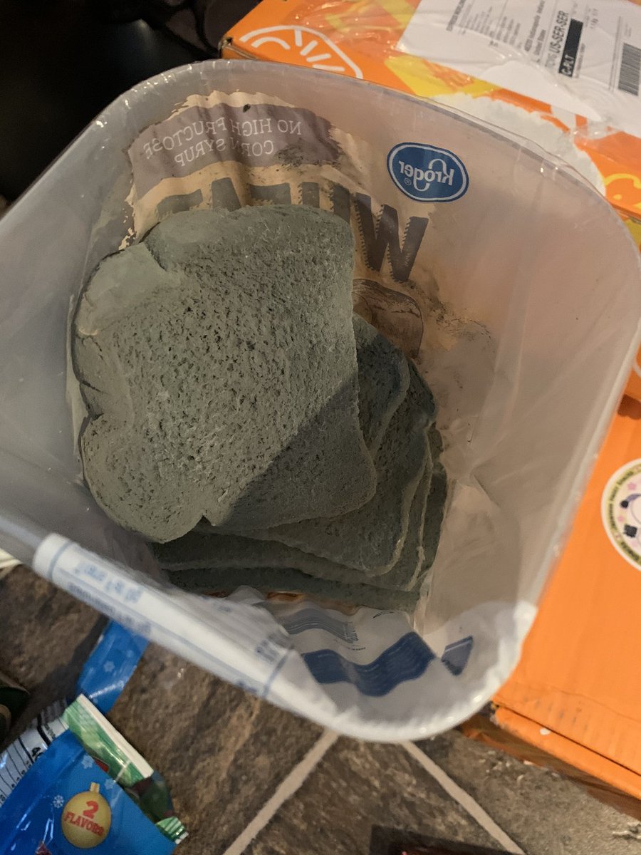AJShannon8's tweet photo. Gross! There’s some bread on my mold! #moldyBread #Bye2020 https://t.co/eVtl286a67