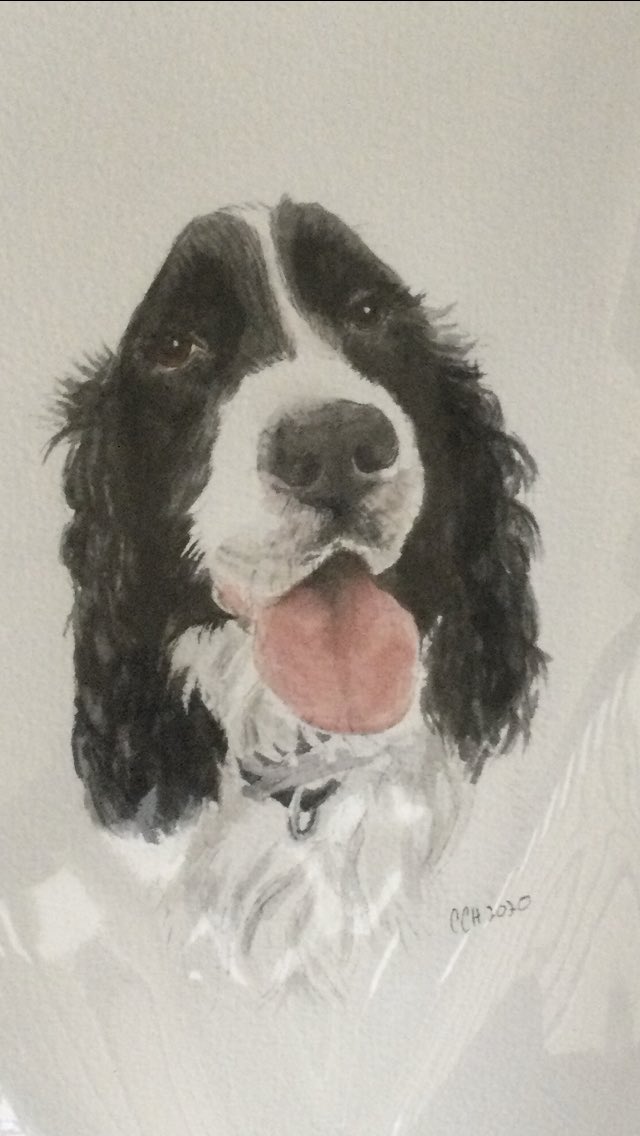 JoanGallos's tweet photo. Charles Darwin #VirtualComfortDog immortalized! A portrait that captures rather well my canine charms & all the good times we’ve had together in this horrid year! Happy New Year!🎊Here’s to more #love, #hope & #comfort coming your way in 2021. #Staysafe #MaskUp #DogsOfTwitter https://t.co/JVlud6o805