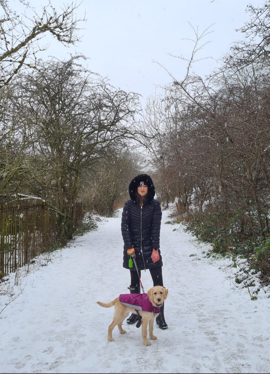 ChrisLavs1's tweet photo. Bringing in the new year with a beautiful winter walk! #Edinburgh #labradoodle #scotland #puppy https://t.co/zwRFaSHXaK