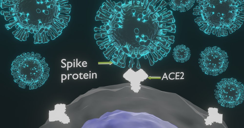 plexision's tweet photo. Read our latest blog! We've got the details of the early data that's been released on the new #COVID19 variant 
Knowledge is power, we must #StopTheSpread 
➡ https://t.co/qh8RTMTKFh ⬅️

#UKvariant #Coronavirus #SocialDistance #StayHome #HealthcareScience #BlogPost #CovidVaccine https://t.co/xSNhVq34hL
