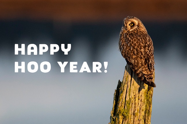 Thank you for keeping Whidbey and Camano islands wild and wonderful. Happy New Year!

#whidbeyisland #camanoisland #landtrust