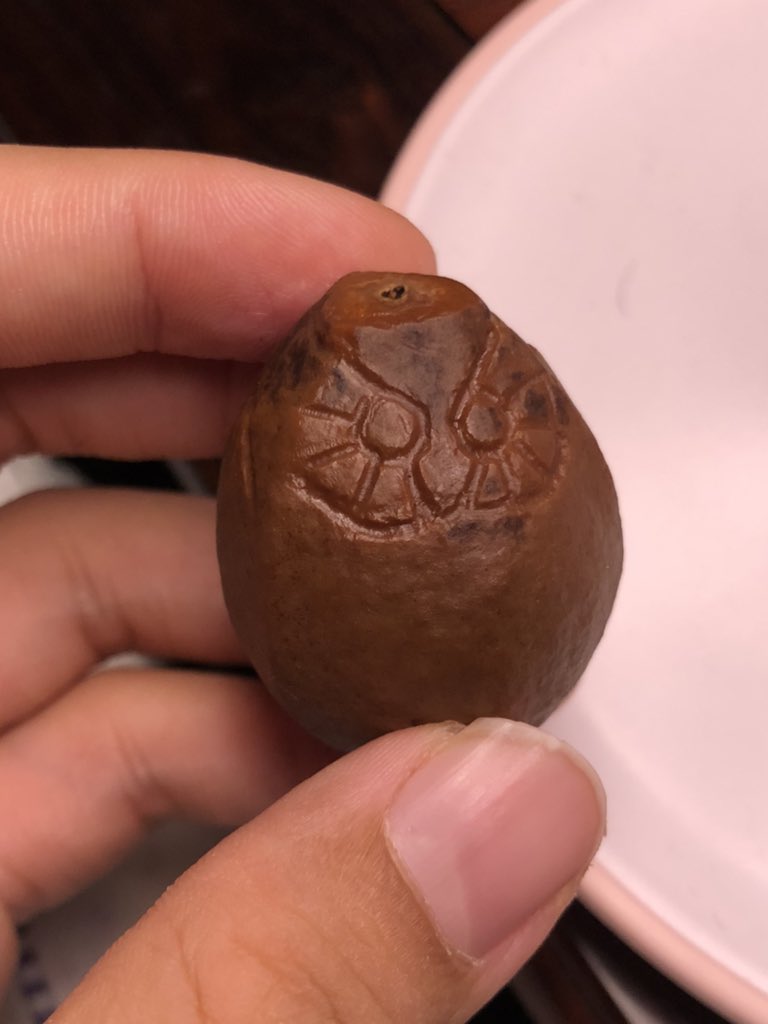 狮叽肉肉卷 tweet media