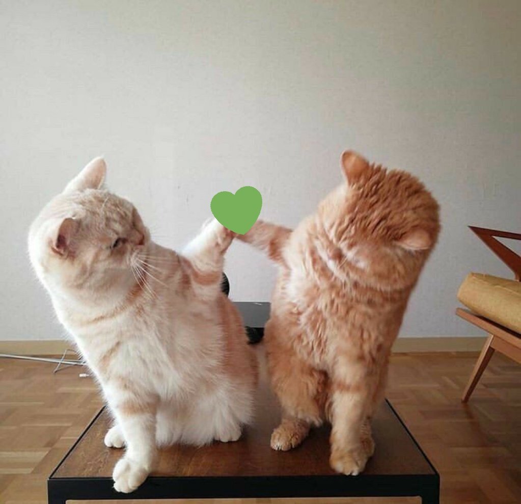 off_tumsiel's tweet photo. @ATepeee Happy new year ceper 💚 on pertama di taun baru 😎 love you too https://t.co/OcVxomh33R