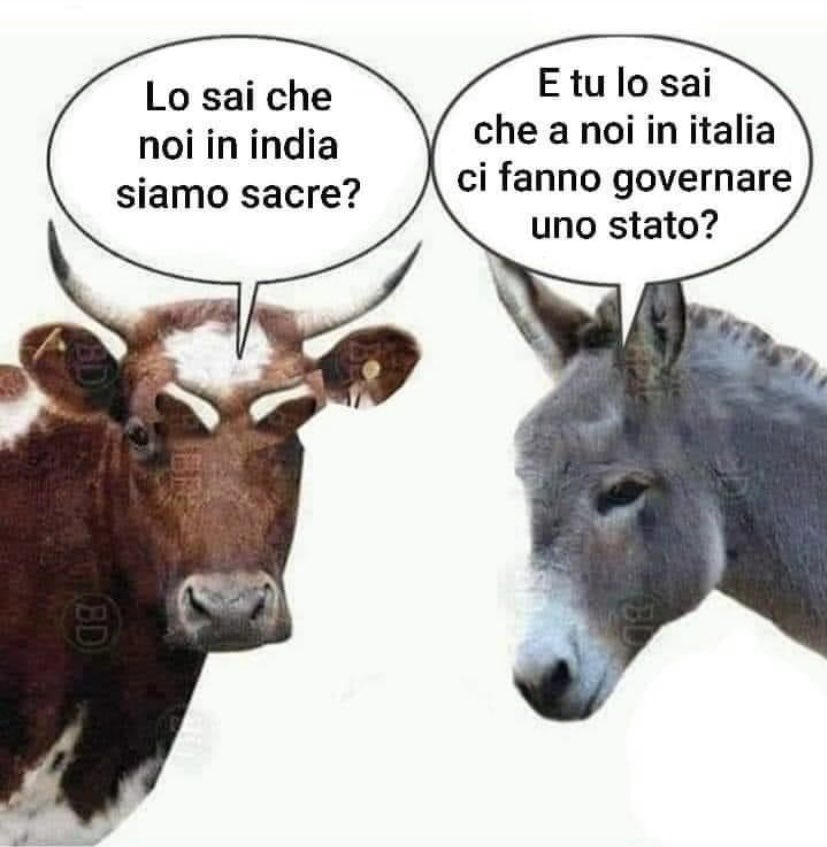 Non è una barzelletta!!!