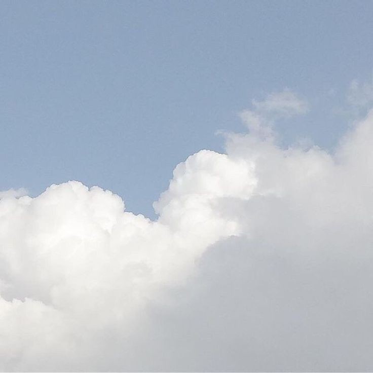 𓂂 𓈒 Have a sparkling New Year ! 。 🎀