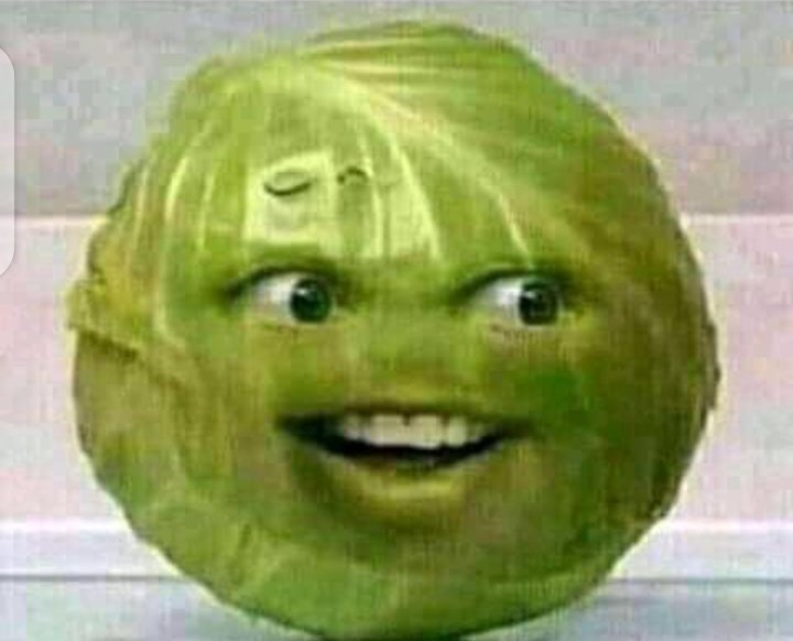GraceSparksN's tweet photo. Mr cabbage is waiting for us in January😂😂 https://t.co/BrbdP1lAnS