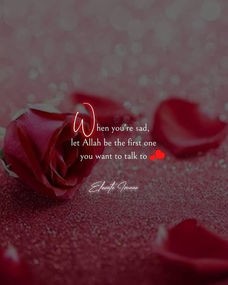 womeninislaam's tweet photo. https://t.co/f7EDvCK25v