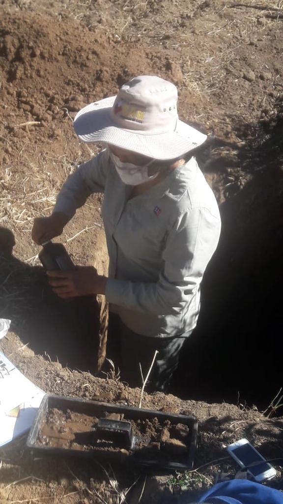 sagchile's tweet photo. Funcionaria de @sagchile #SanVicente evalúa calicata en localidad de #Requegua. La labor de evaluación de suelos es fundamental para su protección y para la determinación técnica en el trámite de IFC. https://t.co/bhFRvJbCh8