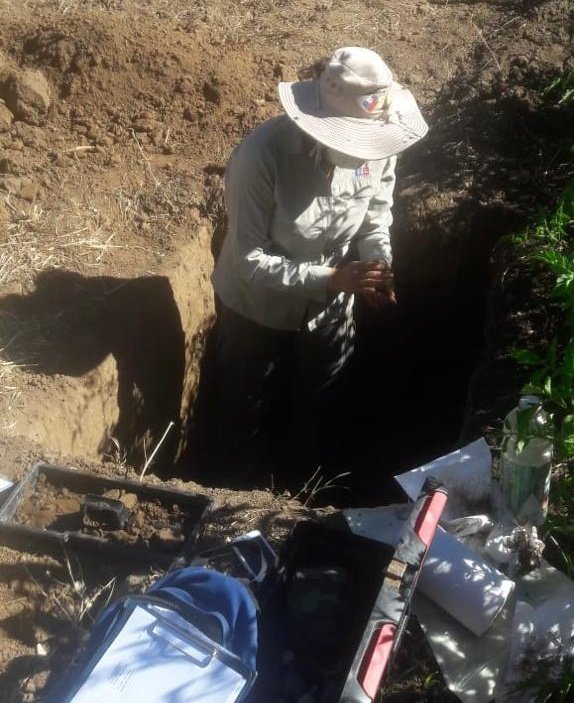 sagchile's tweet photo. Funcionaria de @sagchile #SanVicente evalúa calicata en localidad de #Requegua. La labor de evaluación de suelos es fundamental para su protección y para la determinación técnica en el trámite de IFC. https://t.co/bhFRvJbCh8