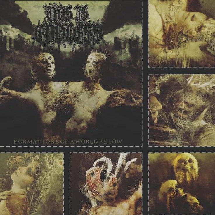 thisis_endless's tweet photo. We would like to thank everyone who has supported us in any way this year and especially the help and support we received around the release of our debut album "Formations Of A World Below". Total respect if you enjoyed it. It means a hell of a a lot to us. https://t.co/6IBPR5hfe1