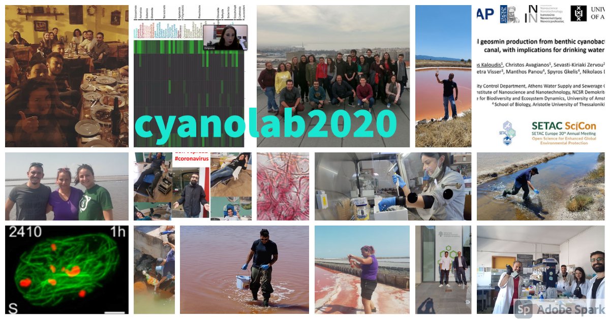 CyanoLab AUTH tweet media