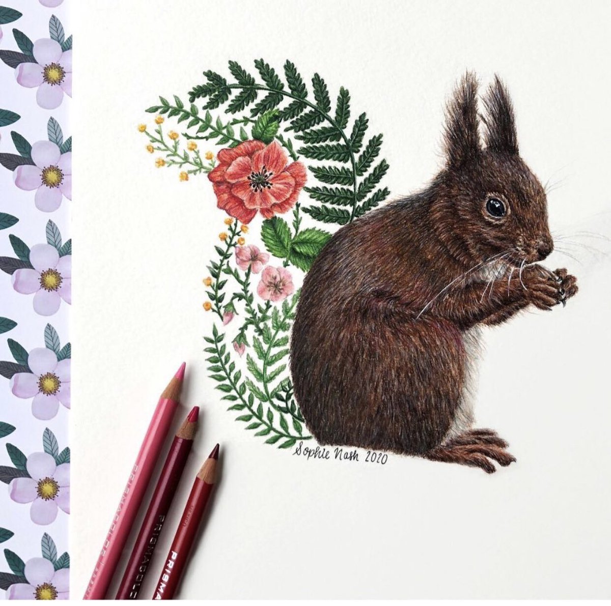 I’m 17 years old and I’d love for more people to see my art! Please retweet 🥰

Here are some of my favourite pieces from 2020. Thank you all for supporting me it means so much! ❤️
<a href="/swlanaturaleye/">SWLA</a> #wildlifeart #animalart <a href="/BBCEarth/">BBC Earth</a> <a href="/WildlifeMag/">BBC Wildlife</a> <a href="/BBCSpringwatch/">BBC Springwatch</a> #Artof2020