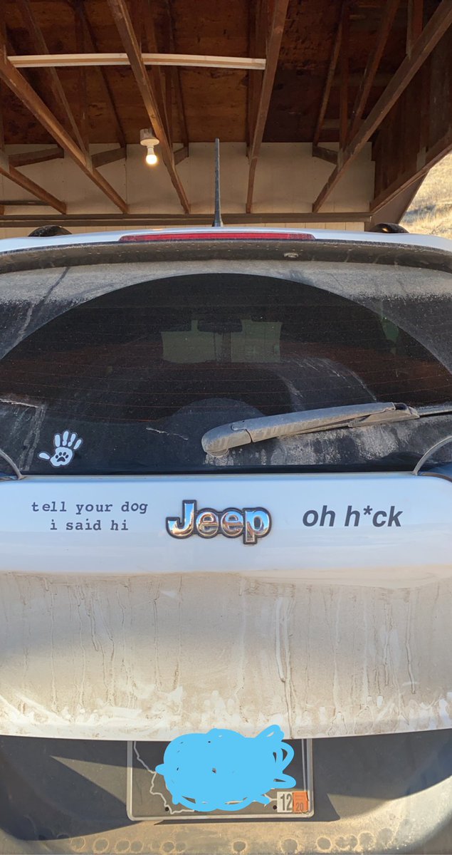 lillisaur's tweet photo. @dog_rates I love them.  So dang much.  Also I live in a very rural place so it’s impossible to keep the car clean for longer than a day https://t.co/WYF1GzZekP
