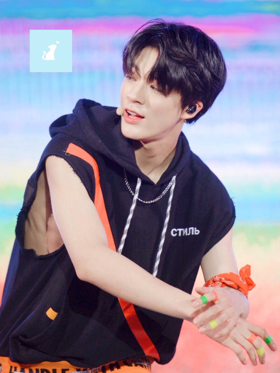 타로 메인쿤🐱 tweet media