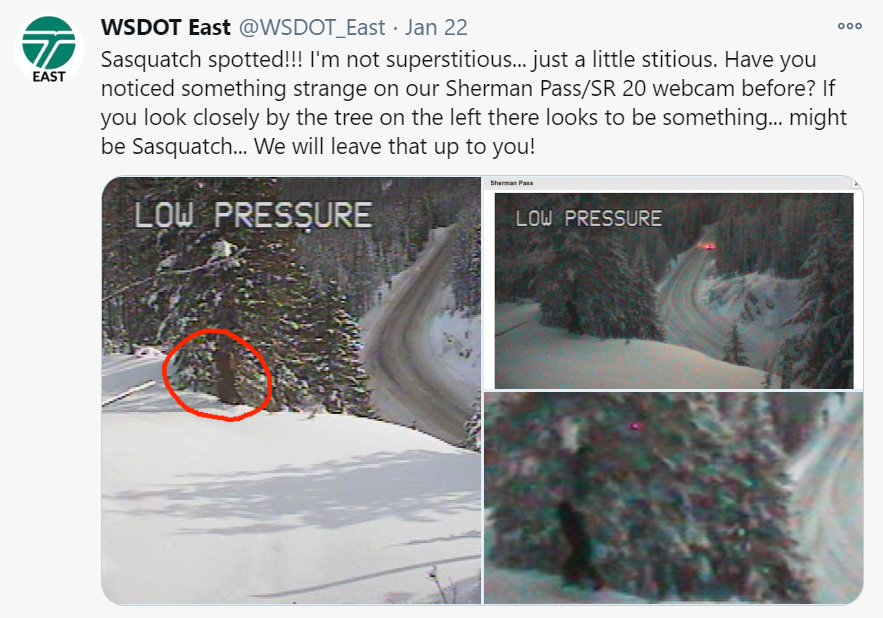 WSDOT_East's tweet photo. We can't let @wsdot have all the fun posting about different things that happened in 2020. In January our Sherman Pass webcam "captured" Bigfoot! It caused quite a stir... My mom for Christmas even gifted me a drink coaster telling me to "Don't Stop Believing". #WSDOT20 https://t.co/37pmZeeO1G