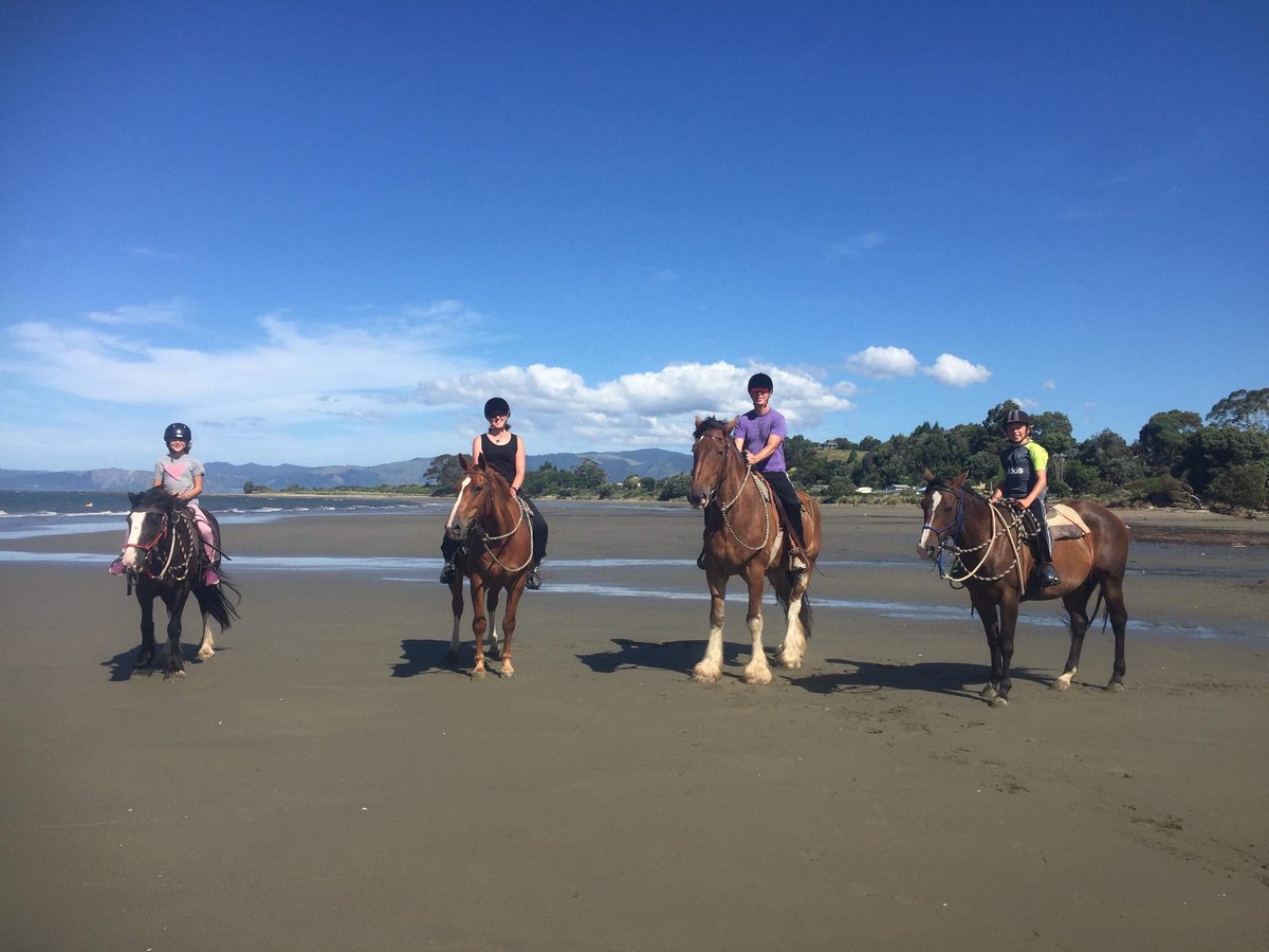 Mike Phillips (he/him) tweet media