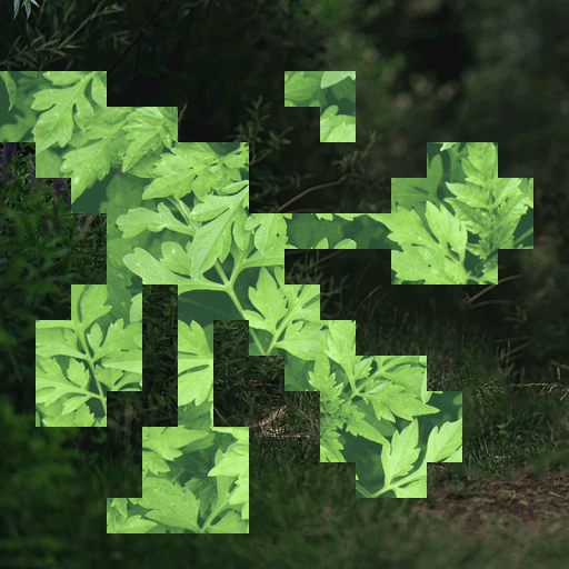 oak🌱✨ tweet media