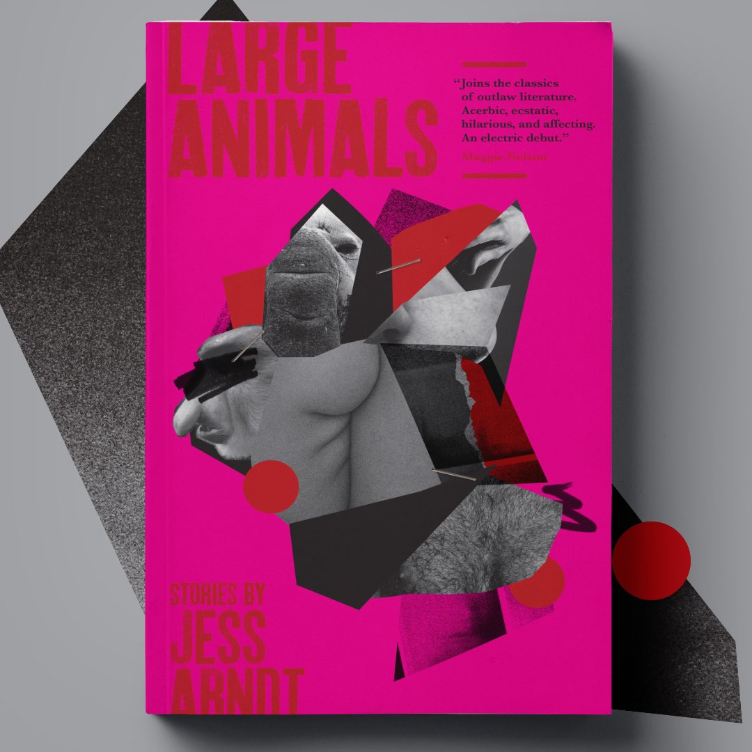 All our devotion and mischief goes to <a href="/ArndtJess/">Jess Arndt</a> who trusted us with their incredible book Large Animals

Thanks to everyone who has bought a copy, loved it, and shared it 👊🏻