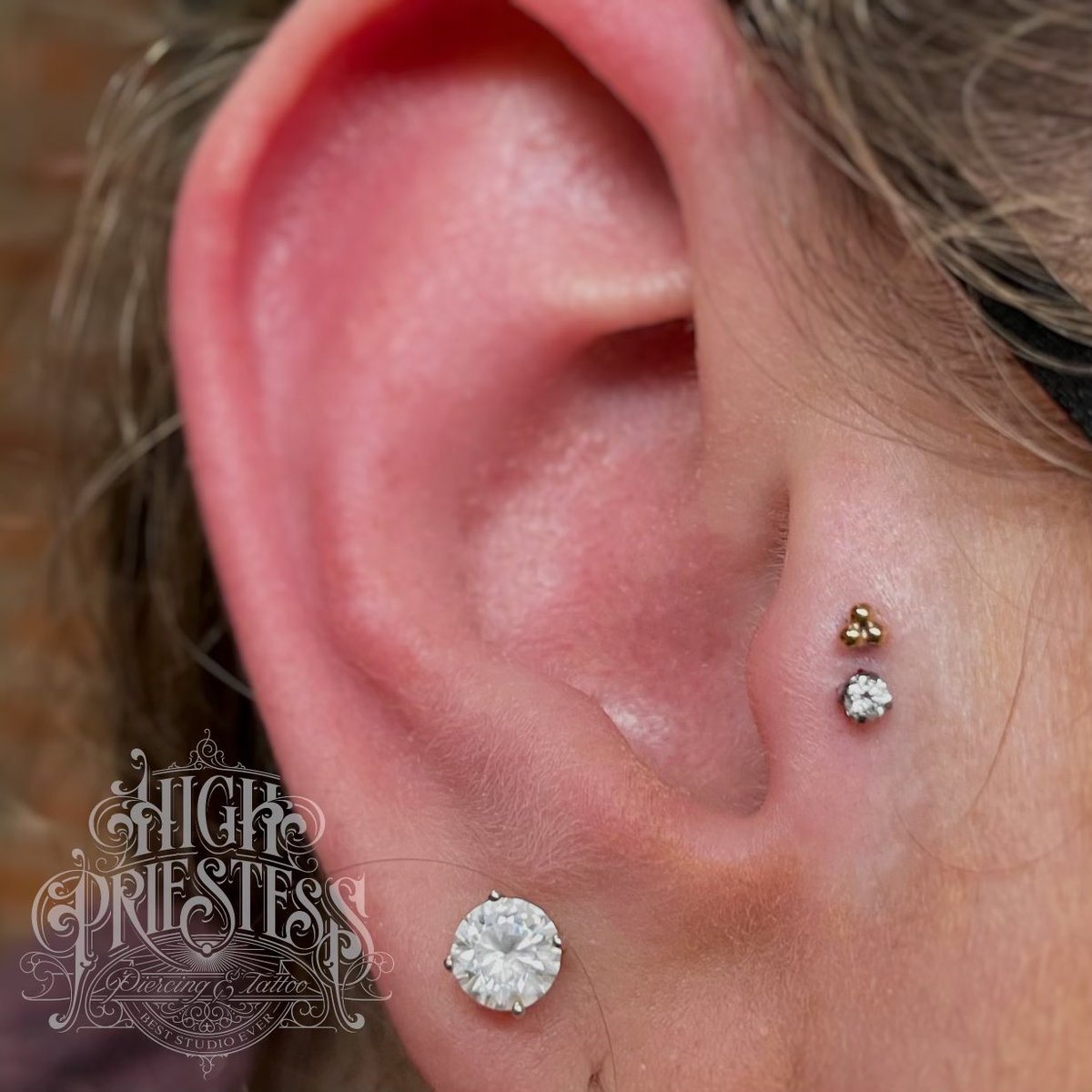 CampusPriestess's tweet photo. A fresh set of double tragus piercings with jewelry from the good people at @NeoMetalJewelry
#pnwpiercers #legitbodyjewelry #earwork #goldjewelry #neometal #beststudioever #piercersofcolor #blacklivesmatter https://t.co/kww5V1EcG4