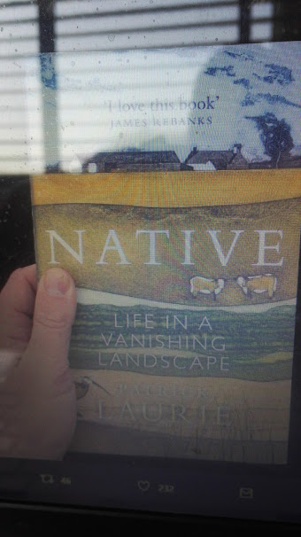 But books, and dogs, were the only real constant...