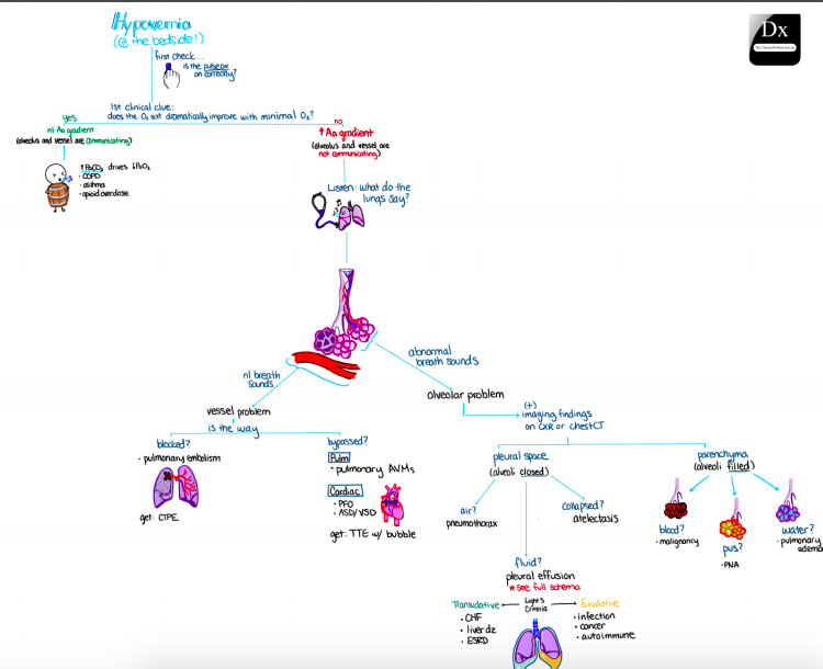 CPSolvers's tweet photo. Warning: this train ride might take your breath away! 

#MedTwitter, hop aboard our hypoxemia thought train! 

https://t.co/5DJ2xQvtTz https://t.co/EQA8GnTtwa