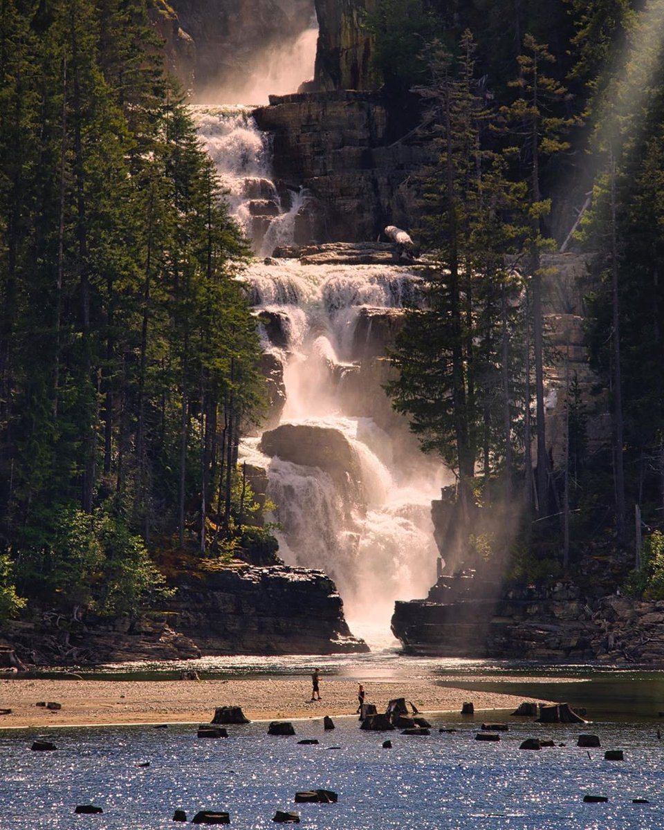 Vancouver Island tweet media