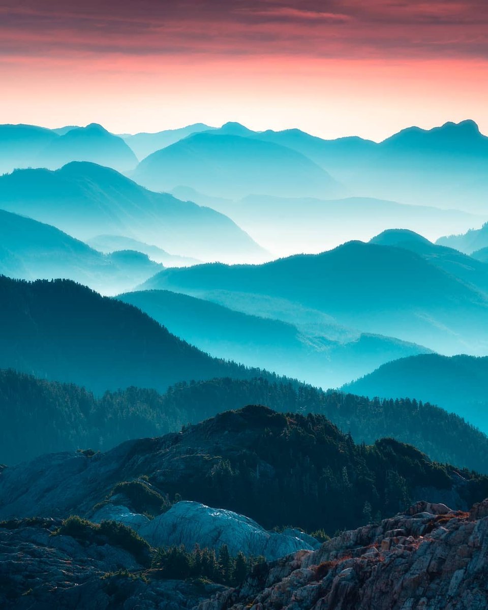 Vancouver Island tweet media