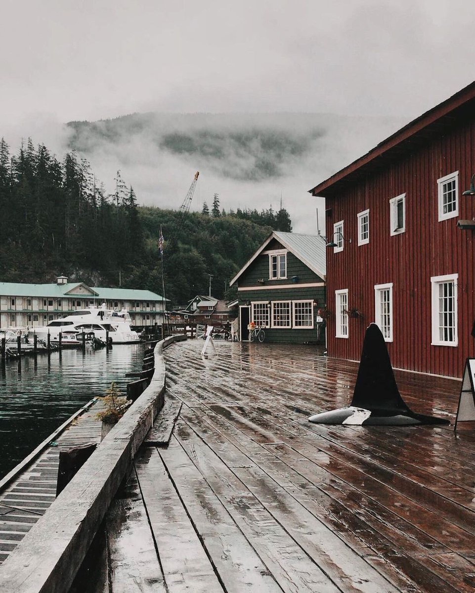 Vancouver Island tweet media