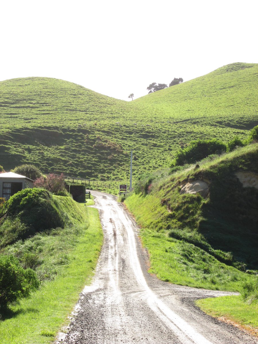 allanrob9's tweet photo. On the way to the first farm in #Otago #Matanaka #Waikouaiti #NZ https://t.co/6OEbcswGVN