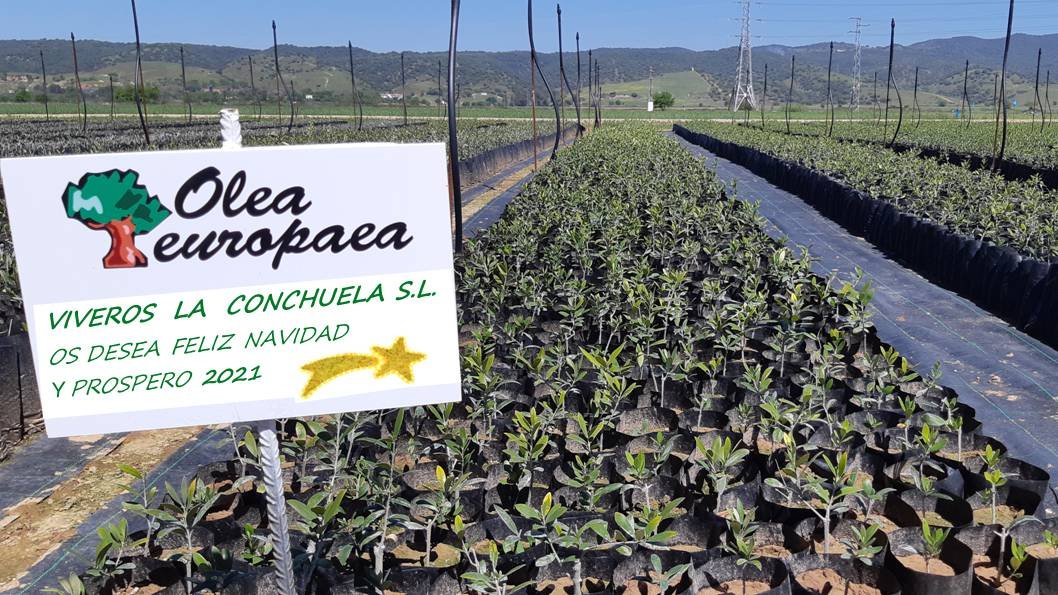 La_Conchuela's tweet photo. https://t.co/tuQSCDNAei