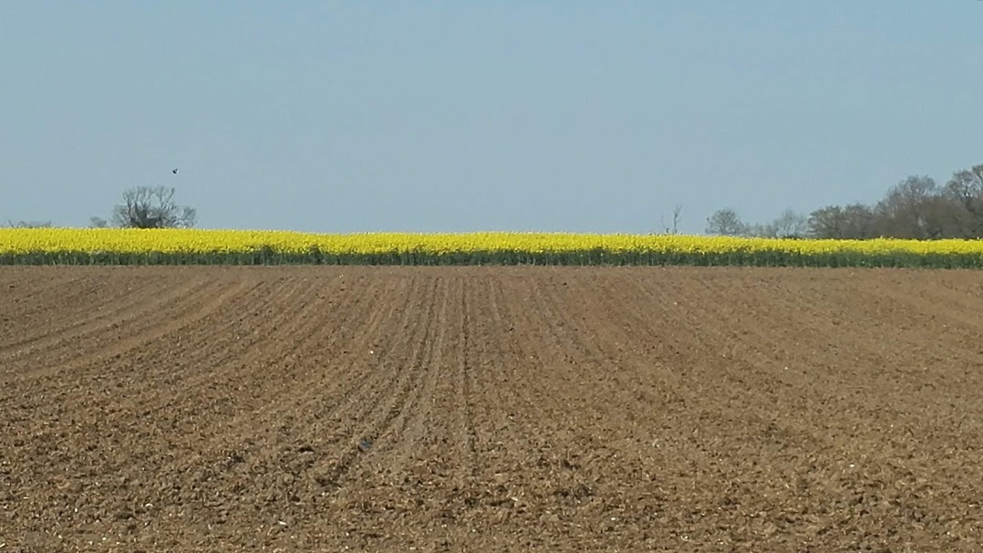 As spring moved to summer some things brought a smile...