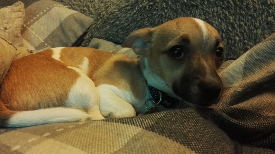 Somebody else was more than settled by now, and had learned to manipulate in order to get just about anything...