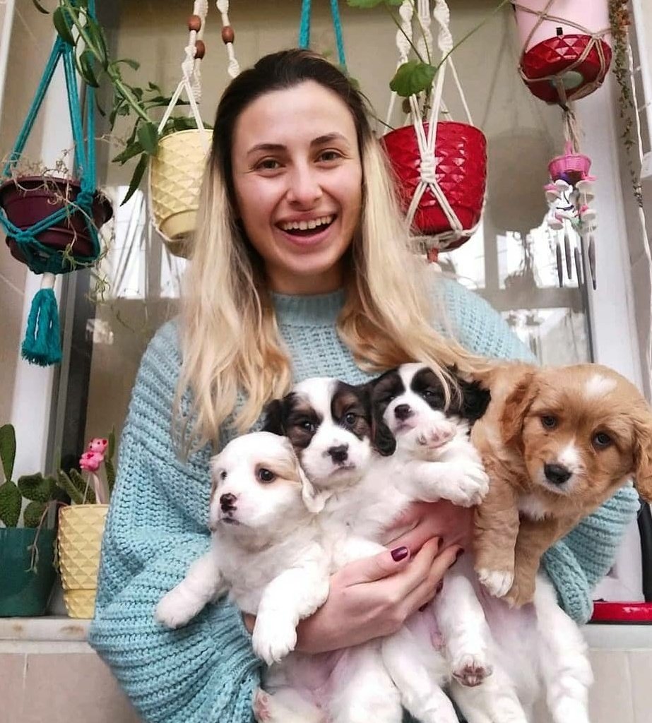 TEM otoyolunda tesadüfen bulduğum anneleri ile ölüme terk edilen bebekleri hatırladınız mı :))
Bugün yeni sahipleri ile buluştular. 2 ay boyunca anne ve köpeklere bakan Şule Çika'ya @pativist sonsuz teşekkürler. 
Mutlu yıllar.
2020 yi güzel  bir haberle noktalayalım istedim :))