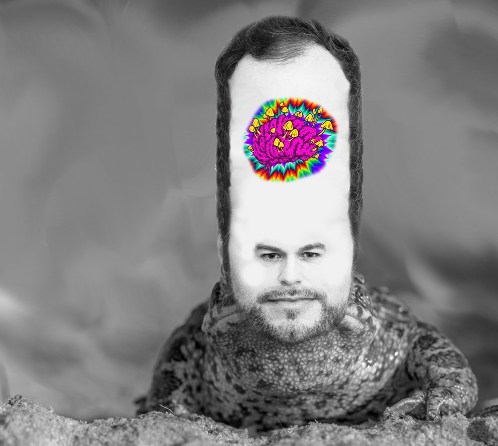 Well, he is a bit of a toad.