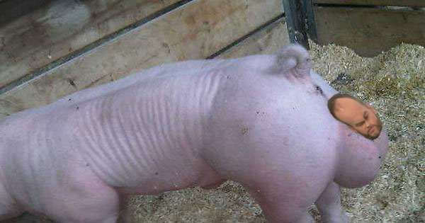 I fucking love this one. Brendan and pig poop balls united at last.