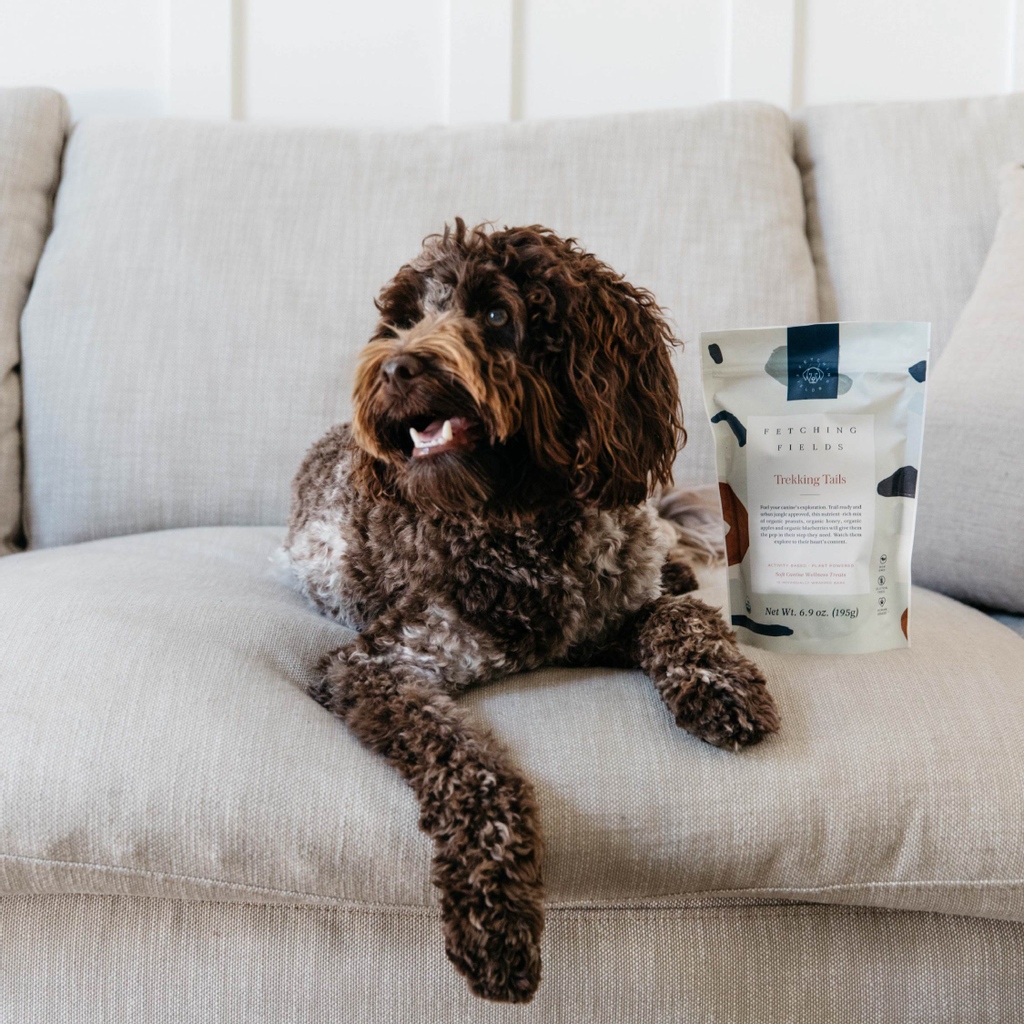 A big THANK YOU 🐾 
To all our human and furry friends for your support over this past year.

Wishing You All A Safe + Happy New Year's Eve 🎉 

- Fetching Fields -